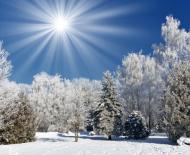 Приметы и обряды в день зимнего солнцестояния